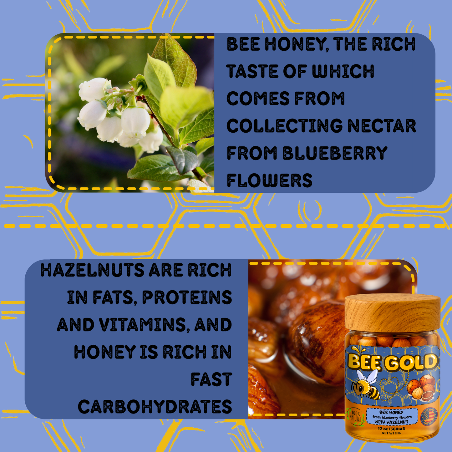 Bee Gold – Raw Blueberry Blossom Honey with Hazelnuts | Gourmet Nut Spread | Clean Ingredients | Supports Active Lifestyles | Unfiltered Honey Nut Spread | No Added Sugar | 12 oz