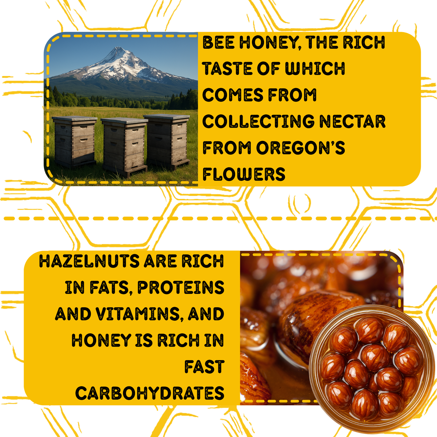 Bee Gold – Raw Honey with Hazelnuts 12 oz | Natural Energy Snack | Crunchy Gourmet Spread | No Added Sugar | Gluten-Free | Premium Glass Jar |