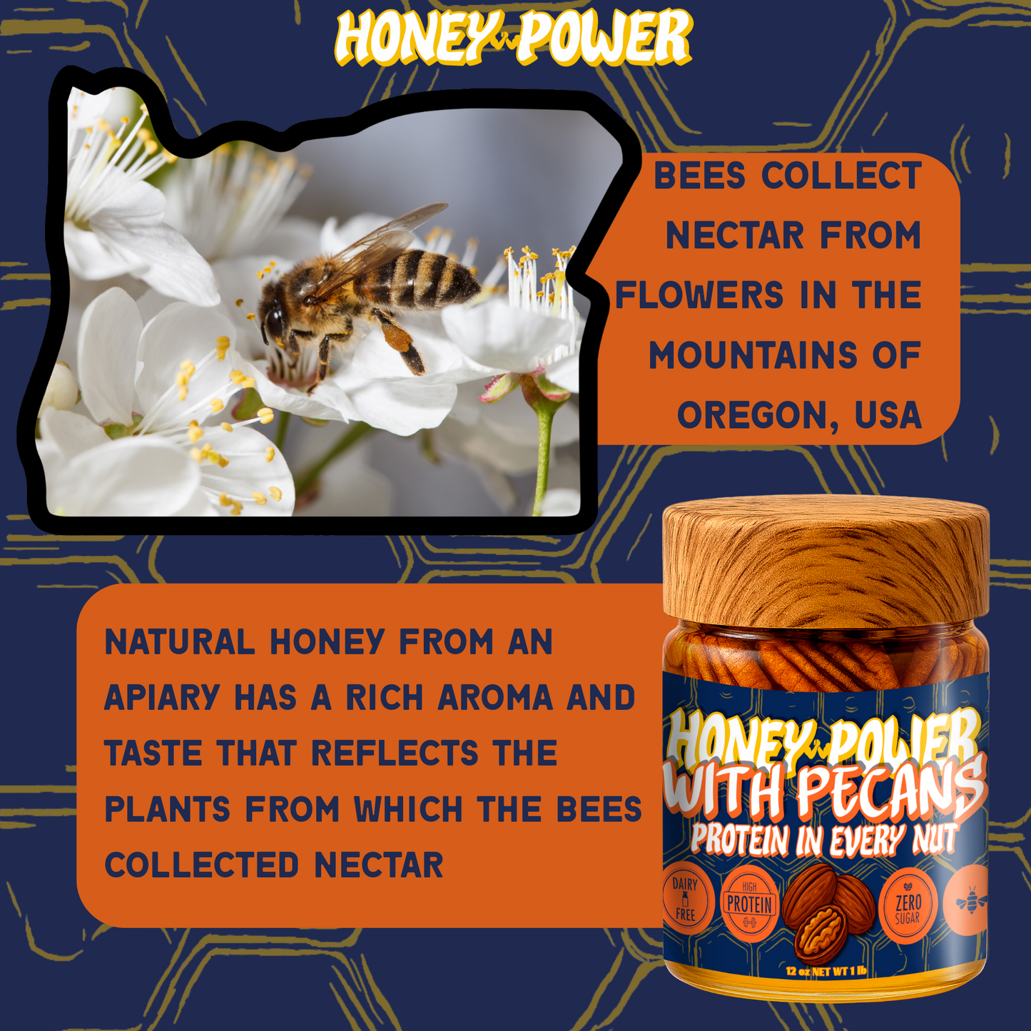 Honey Power with Pecans - Natural Honey | Protein in Every Nut | Energy Boost for Gym | Fitness Recovery Food | Muscle Support | No Added Sugar | Gluten-Free | 12 oz